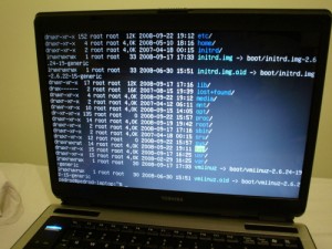 linux modo texto